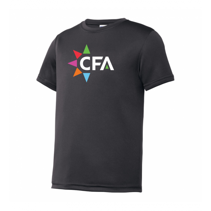 Youth Big CFA Dri-Fit Grey Tee